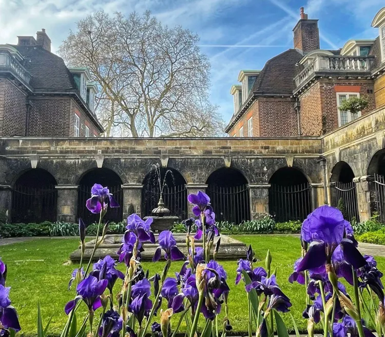 Photograph of purple irises in Little Cloister, a gated garden containing a fountain within Westminster Abbey